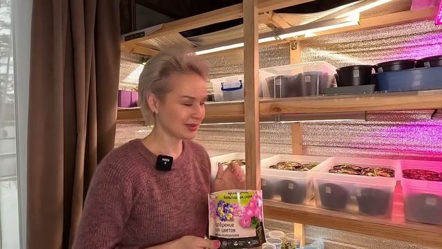 РАССАДА ДЛЯ ПРОДАЖИ.РАСПИКИРОВАЛА РАССАДУ ПЕТУНИИ.2023 смотреть онлайн