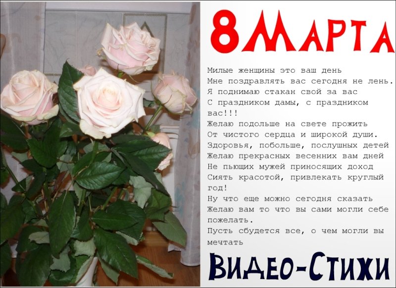 Стих про видеоролик. Стих про видеоролик