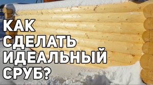 Как сделать сруб для бани? Обзор срубов на производстве в г. Вологда!