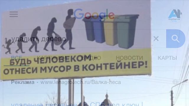 Как искать и где брать заказы на удаления деревьев.