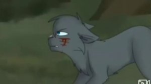 Коты-Воители|Песня Остролапа|Восстань(Заказ)