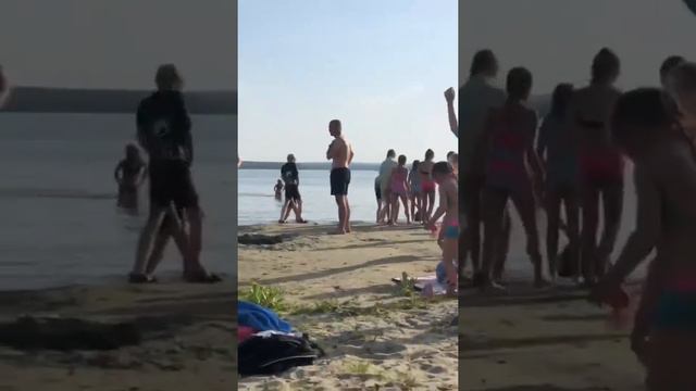 -=На пляж притащили медвежонка=- смотреть онлайн