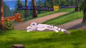 Хранитель Лев: Клип "Дикая львица" заказ