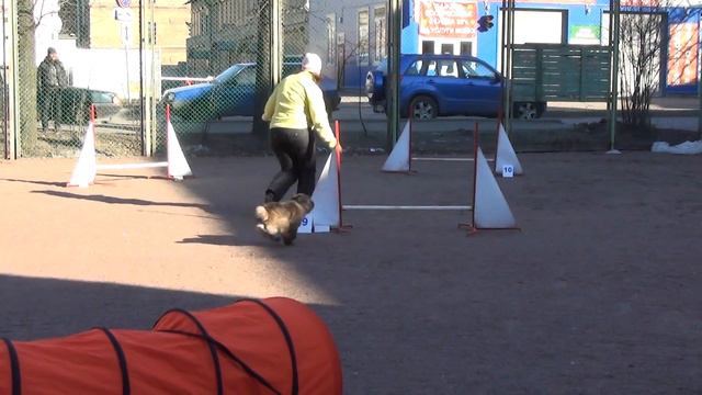 Д-1 Small - Емельянова Светлана и керн-терьер Вилли смотреть онлайн