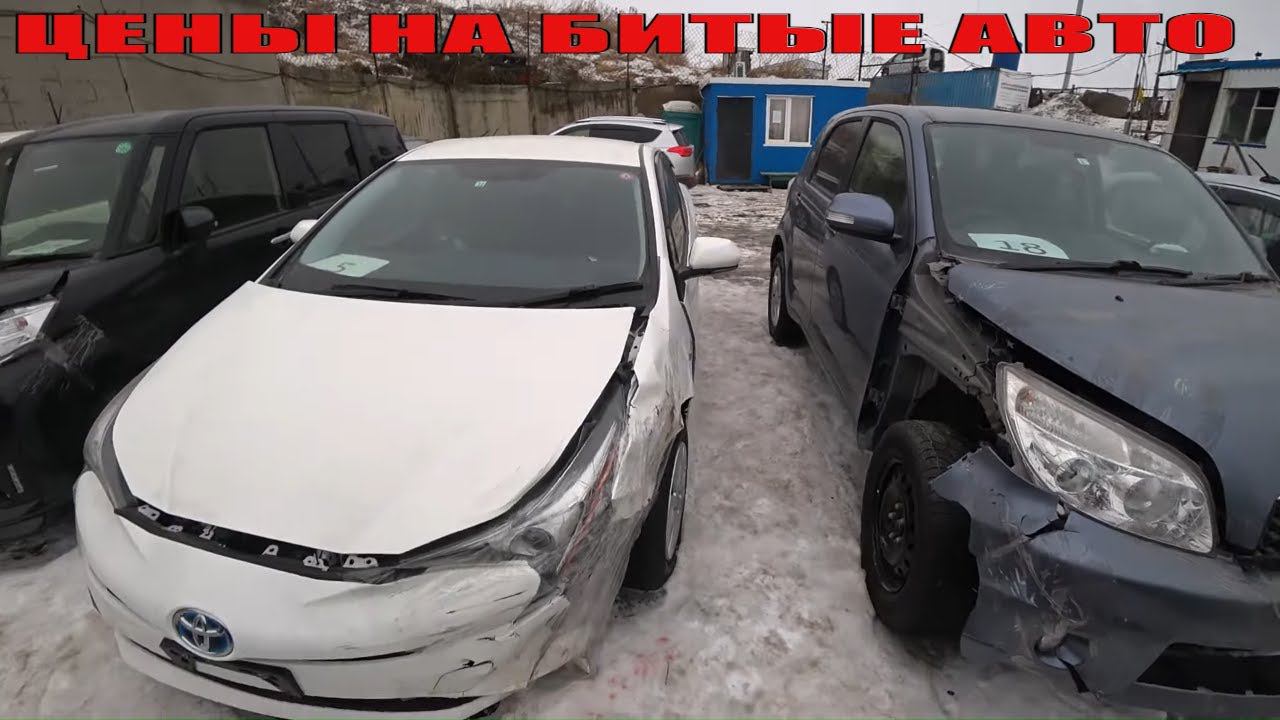 Аукционы битых авто в японии. Привоз авто из японии. Аукционы битых авто в японии. Аукционы битых авто в японии. Аукцион машин в сша.