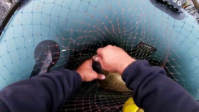 ЛОВЛЯ ЗАЧЁТНЫХ КАРПОВ С ЛОДКИ