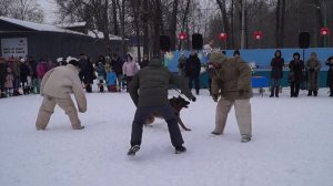 Веселые старты с собаками, Защити меня2