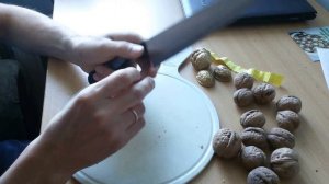Как расколоть Грецкий орех на 2 ровные части для сувениров Яровое