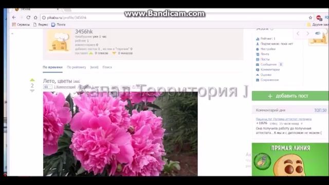 Моё впечатление от сайте Пикабу.✍️ смотреть онлайн