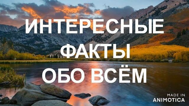 ИНТЕРЕСНЫЕ ФАКТЫ ЧАСТЬ 4
