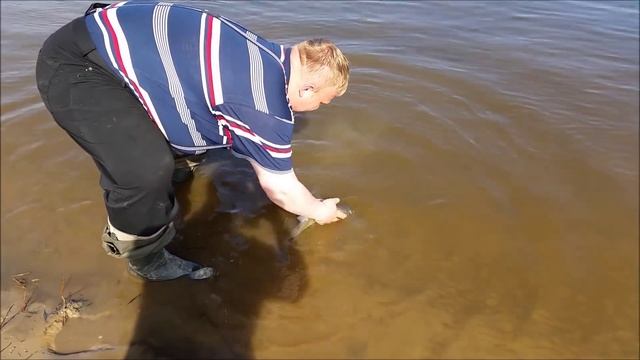 Река Ока. Для отчета на ФИОНе. 3 мая 2015 г. смотреть онлайн