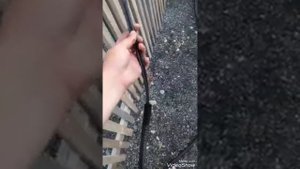 Проводим электричество от счётчика.