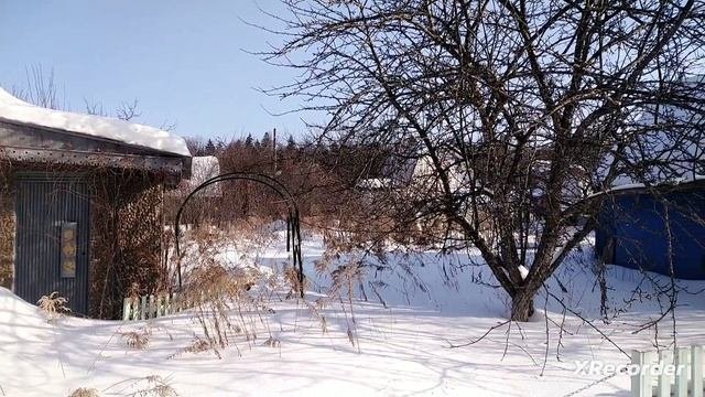 Дача