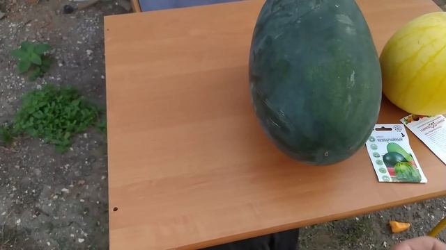 Борьба с урожаем продолжается. Сварила шесть литров варенья из паслена.