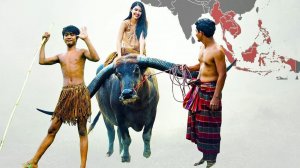 История происхождения населения Юго-Восточной Азии. Австронезийские и австроазиатские языки