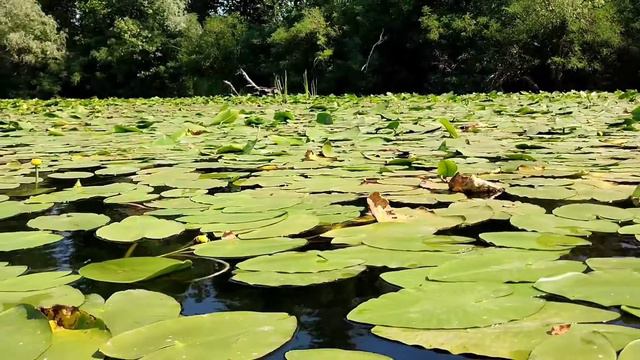 Последний день лета на Днепре. Эх, давно это было) смотреть онлайн