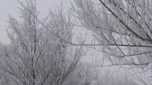 @36 23 февраля/Празднуем/Поздравляем/Коротко