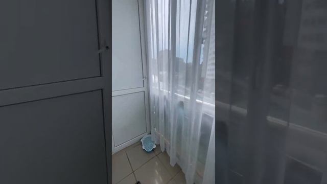 Продам квартиру в центре Сочи с ремонтом недвижимость купить