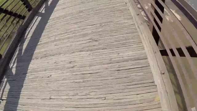 So glad my Nimbus Oracle 29" Came ;) -music included смотреть онлайн