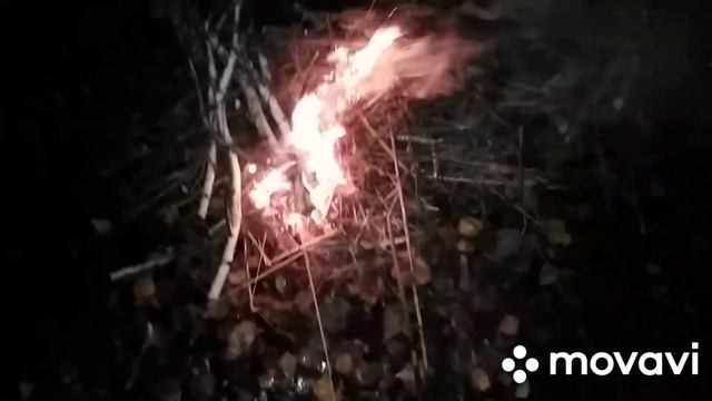 Как разжечь костер в мокром лесу. Без бумаги и розжига смотреть онлайн