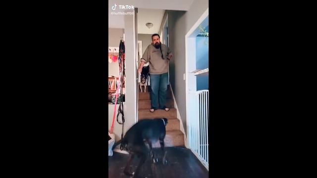 тик ток здаровается смотреть онлайн