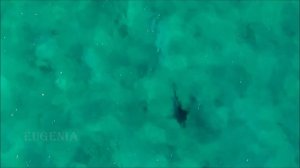 #якуро #бесконечная #вечнаяЭту музыку можно слушать вечно !!! Самая Красивая Музыка До слез!