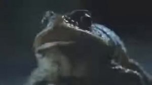 NEW esm 2015 Ford Falcon Funny Banned Commercial Frogs Toads Australia 2012  Car TV Show