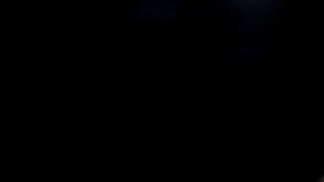 Харьковской Зоо Ника и Ларик смотреть онлайн