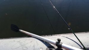 Abu Garcia Revo MGXtreme 2. Тестовая рыбалка. Первый блин - комом.