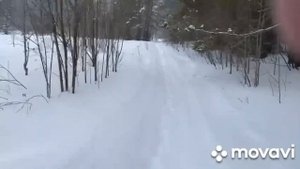 Снегоход Sharmax SN-280 прохваты по тайге