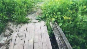 Как в деревне летом заработать с пользой