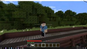 нелегалом на грузовых поездах