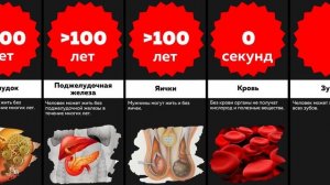 Сравнение: сколько времени ЧЕЛОВЕК ПРОЖИВЁТ БЕЗ РАЗНЫХ ОРГАНОВ