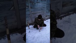 Как гуманно забить кролика!