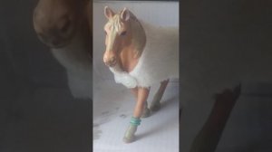 ~||Привет, я новый шляйхер)||~