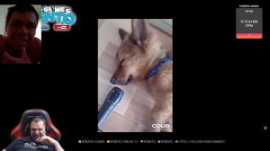 Петренко смотрит лучшие приколы #23/ реакция на Петренко