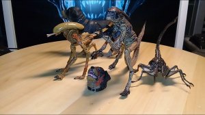 Review! 2019 Neca Alien 3 Creature Pack!