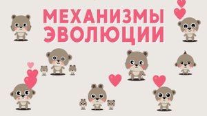 Как работает Эволюция