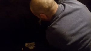 Выращивание грибов в домашних условиях. Опенок луговой.Эксперемент.