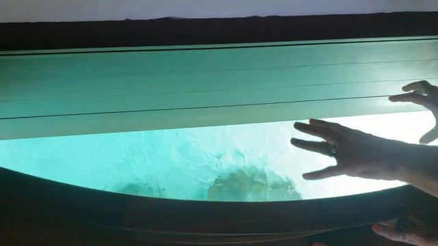 Le Bora Bora by Pearl - Overwater Bungalow #214 смотреть онлайн