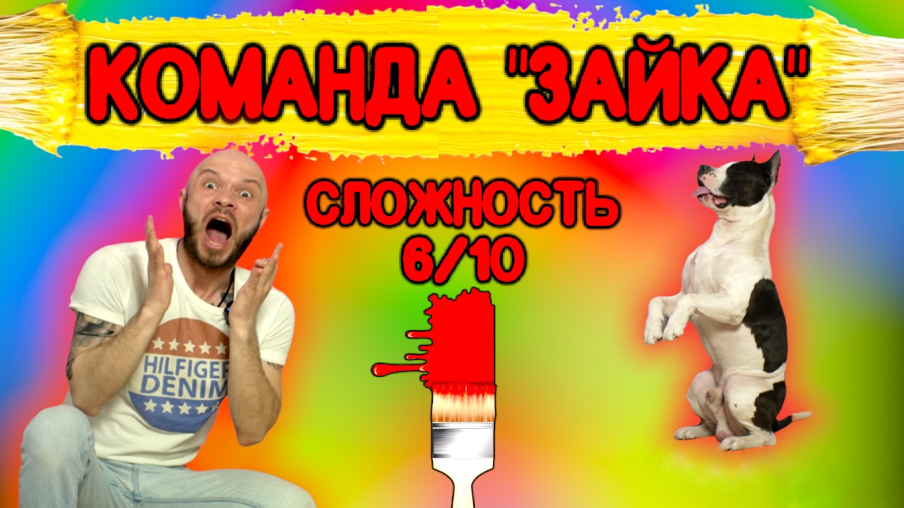 Как научить собаку команде «Зайка»? смотреть онлайн