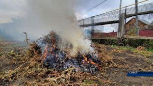 За сжигание мусора грозит штраф