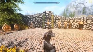 Skyrim SE: Two-Handed sword Animation Mod