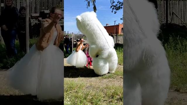 Принцесса встретила своего медвдея! Поздравление от белого медведя