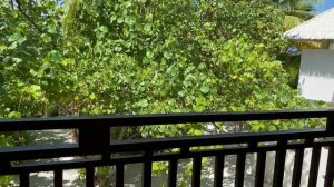 SUN SIYAM OLHUVELI  Part 2 l TUI BLUE ROMANCE ISLAND I MALDIVES #maldives