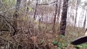 Нож нескладной Gerber Military Bear Grills