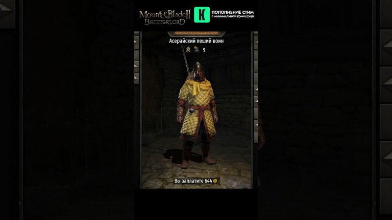 Зачем нужны спутники? Раненые солдаты для квеста. Часть 3.  Mount & Blade Bannerlord