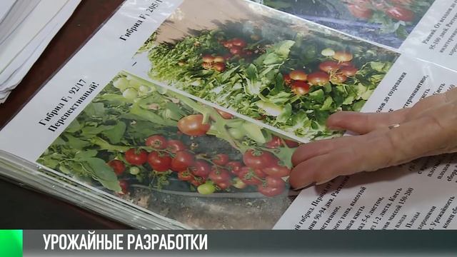 #КЭБ_Итоги. Аграрная наука: как вырастить урожай?
