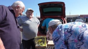 В Аксае на ярмарке голубей. Стою с птицей на рынке 19.06.2022г