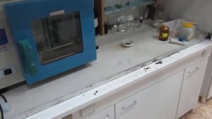 В Забайкалье проснулся Вулкан Шееле